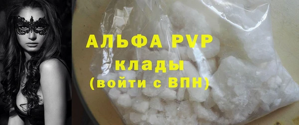 стаф Алексин