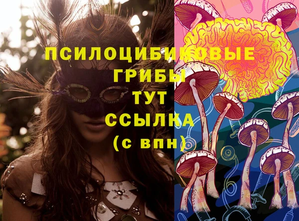 стаф Алексин